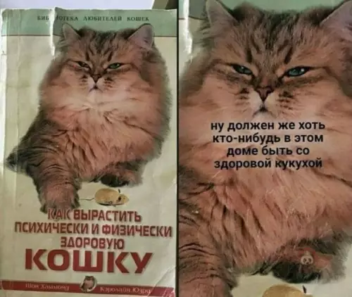 Смешная картинка №545266 ОРУУУУ