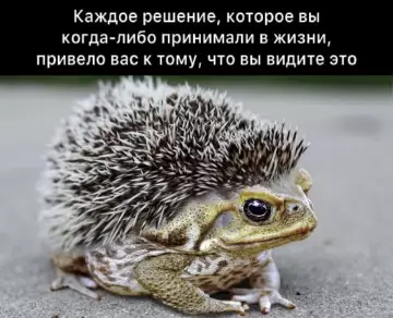 Смешная картинка №779953