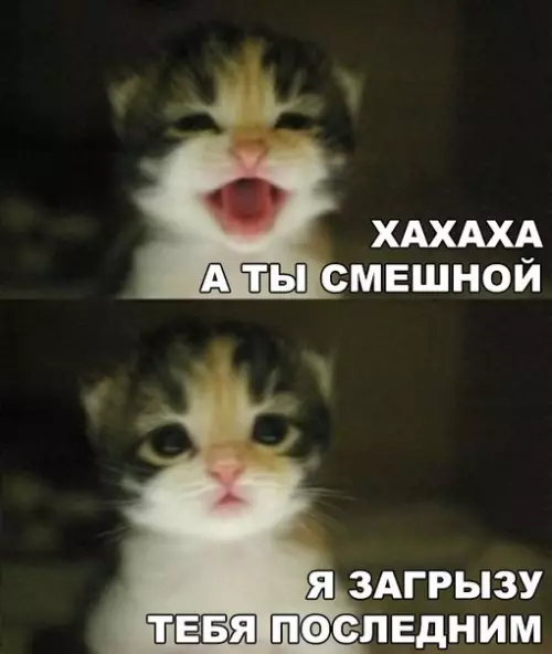Смешная картинка №227850