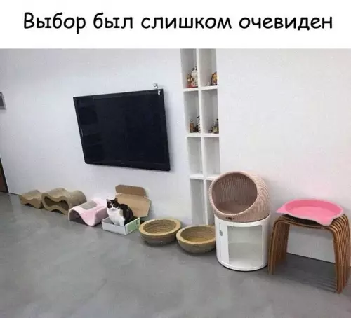 Смешная картинка №799897