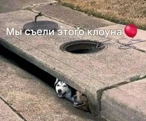 Смешная картинка №739573