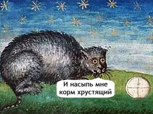продолжение Смешная картинка №759259 Позови кота с собой...