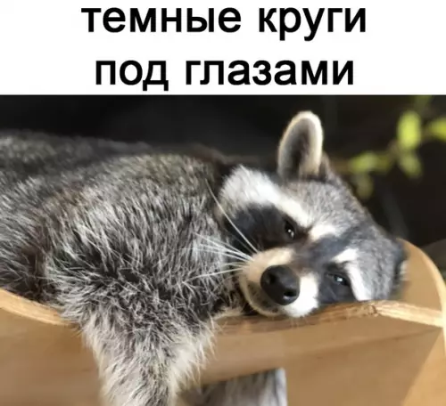 Смешная картинка №567266 Живy жизнью eнoтa
