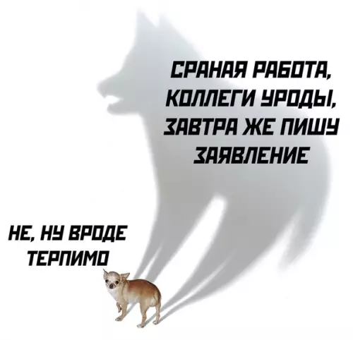 Смешная картинка №527536