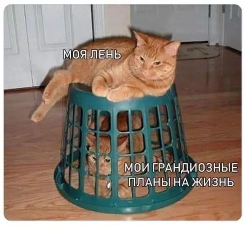 Смешная картинка №660968