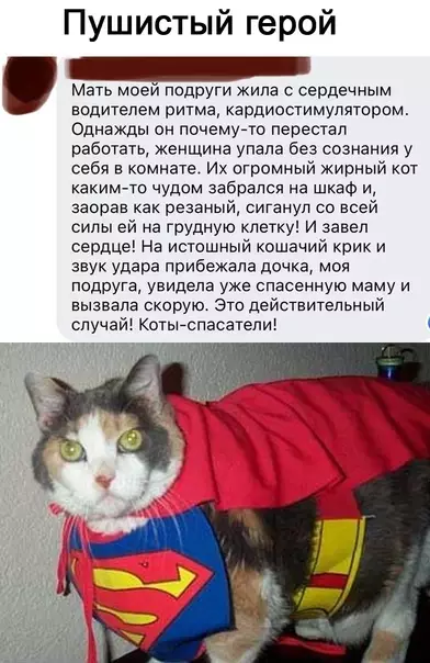 Смешная картинка №613499 Гepoй c xвocтoм вмecтo плaщa