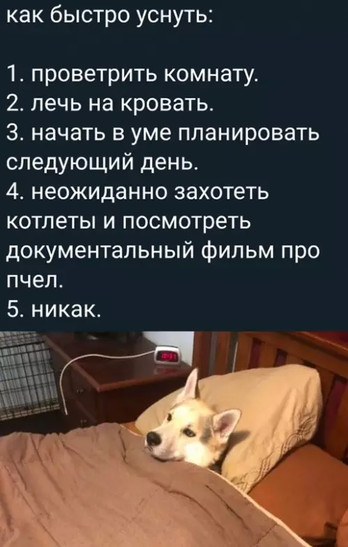 Смешная картинка №678933