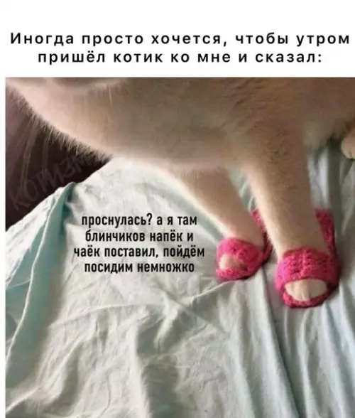 Смешная картинка №577352