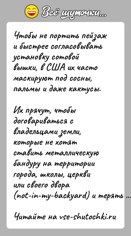 История: Чтобы не портить пейзаж и быстрее согласовывать установку сотовой вышки, в США их часто маскируют под сосны, пальмы и даже