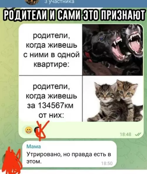 Смешная картинка №707327