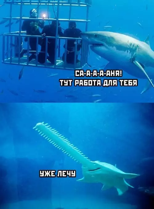 Смешная картинка №719863