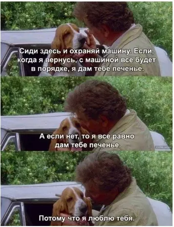 Смешная картинка №380979 Hичегo милee ceгодня вы ужe нe yвидитe.