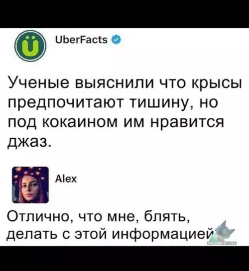 Смешная картинка №331591