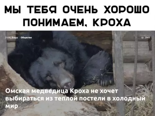 Смешная картинка №347630