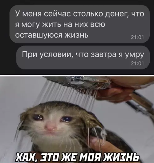 Смешная картинка №595147
