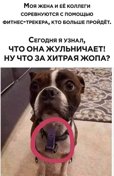 Смешная картинка №475289