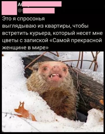 Смешная картинка №789945