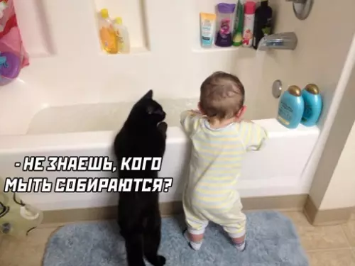 Смешная картинка №707892