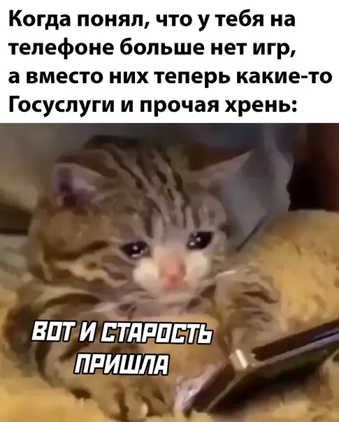 Смешная картинка №615280