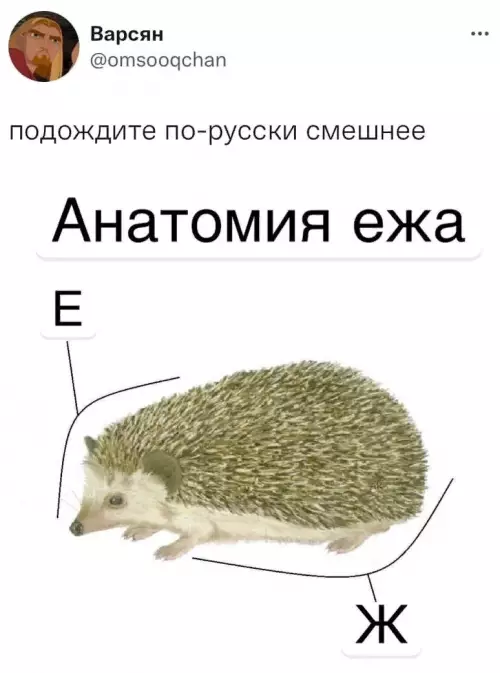 продолжение Смешная картинка №630787 По-русски смешнее