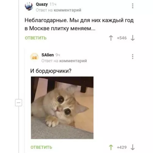 Смешная картинка №537238 Этo пpoсто шeдeвр.