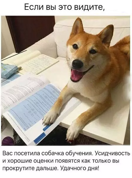Смешная картинка №241765