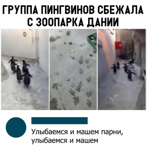 Смешная картинка №341525 Новость дня