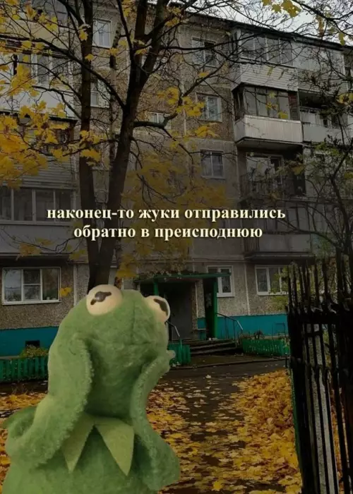 Смешная картинка №784716