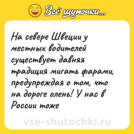 Шутка: На севере Швеции у местных водителей существует давняя традиция мигать фарами, предупреждая о том, что на дороге олень! У нас в России тоже