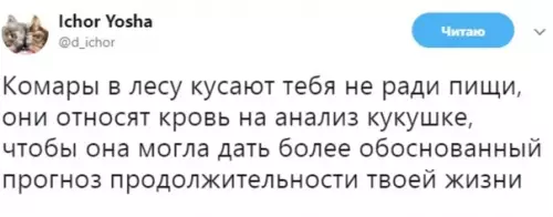 Смешная картинка №300435 Заботливые насекомые