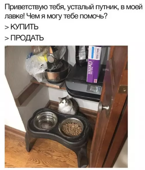 Смешная картинка №244398