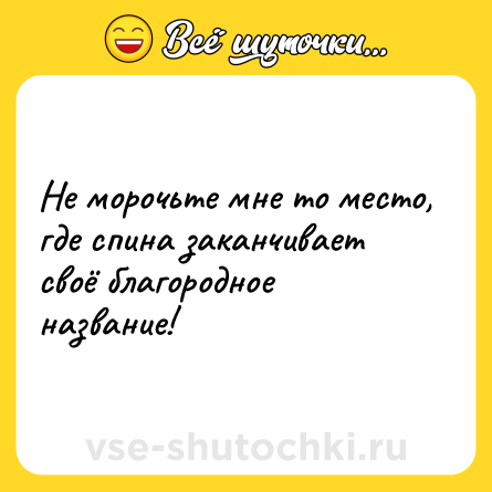 Шутка: Не морочьте мне то место, где спина заканчивает своё благородное название!