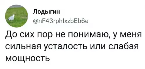 Смешная картинка №677524