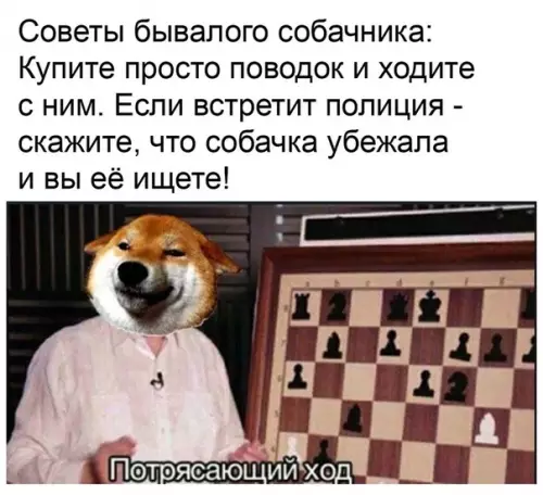Смешная картинка №483689 Неплохо.