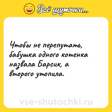 Шутка: Чтобы не перепутать, бабушка одного котенка назвала Барсик, а второго утопила.
