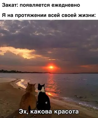 Смешная картинка №683678