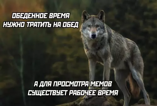 Смешная картинка №713301