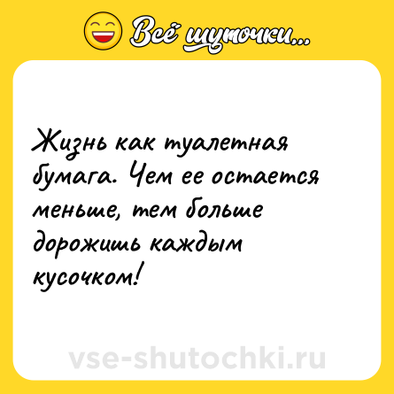 Шутка: Жизнь как туалетная бумага. Чем ее остается меньше, тем больше дорожишь каждым кусочком!