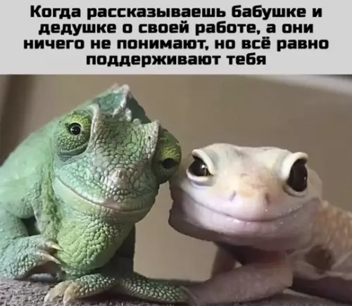 Смешная картинка №773256