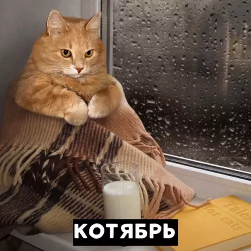 Смешная картинка №390817 Каждый год одно и то же