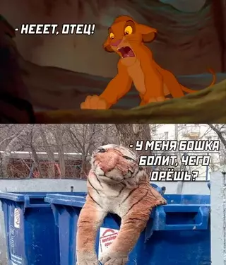 Смешная картинка №671228