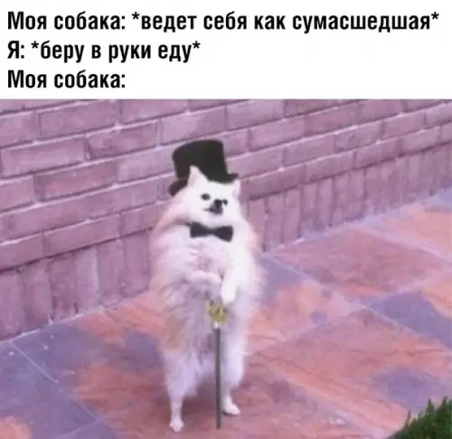 Смешная картинка №367994
