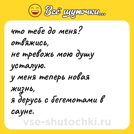Шутка: что тебе до меня? отвяжись,  <br>не тревожь мою душу усталую.  <br>у меня теперь новая жизнь,  <br>я дерусь с бегемотами в сауне.
