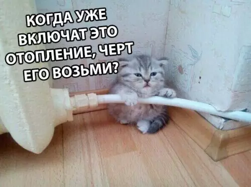 Смешная картинка №305330 Настроение: