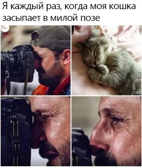 Смешная картинка №666711