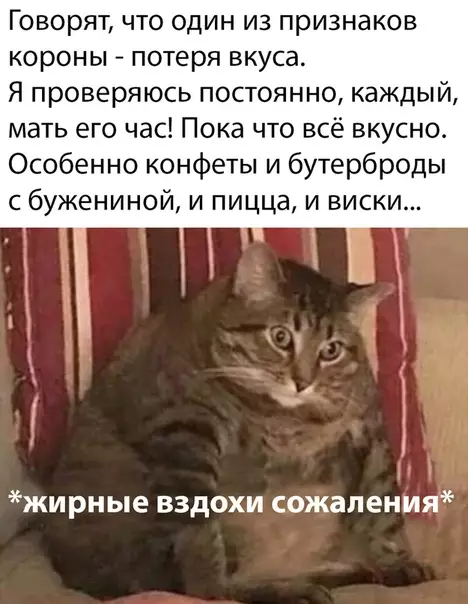 Смешная картинка №489316