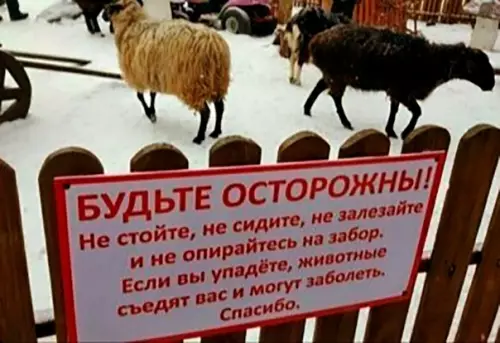 Смешная картинка №445808 ну, раз могут заболеть, тогда не буду.