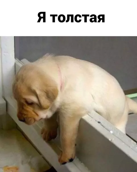 Смешная картинка №526193