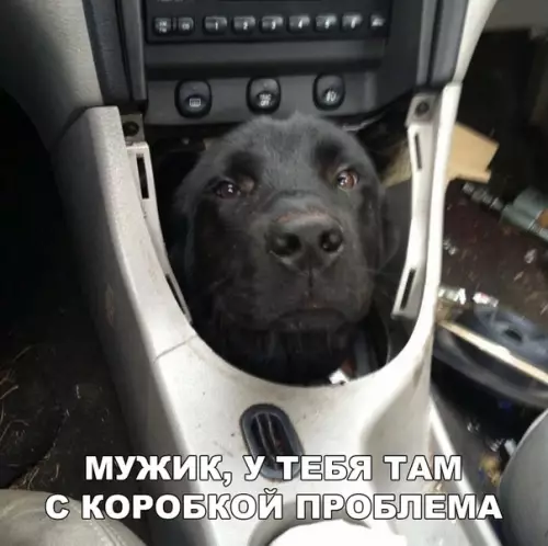 Смешная картинка №294813