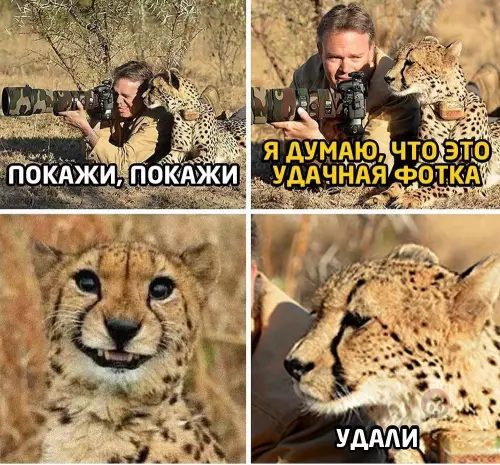 Смешная картинка №646567 Типичная девушка ?